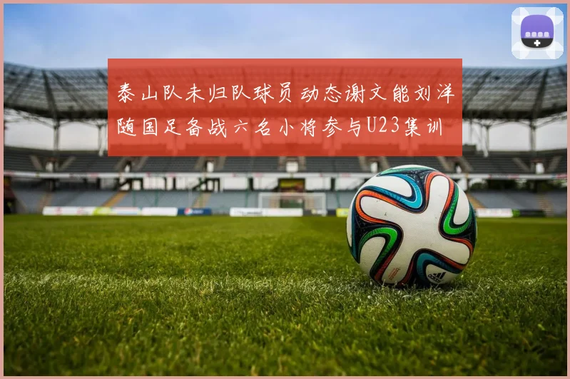 泰山队未归队球员动态谢文能刘洋随国足备战六名小将参与U23集训