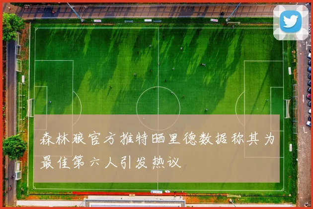 森林狼官方推特晒里德数据称其为最佳第六人引发热议